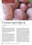 Сушка картофеля исследование радиационно-конвективной сушки картофеля при переменном теплоподводе