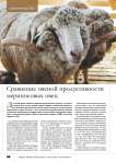 Сравнение мясной продуктивности мериносовых овец