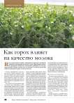 Как горох влияет на качество молока