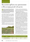 Болезни арбуза на орошении в Волгоградской области