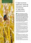Современные приемы защиты посевов озимой пшеницы от вредных организмов