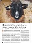 Племенной генофонд пород овец Поволжья