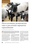 Использование романовских овец в различных вариантах скрещивания для производства молодой баранины