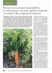 Научно-исследовательская работа по испытанию системы защиты моркови столовой в Волгоградской области