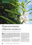 Перспективные образцы кунжута