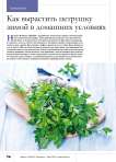 Как вырастить петрушку зимой в домашних условиях