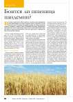 Боится ли пшеница пандемии?