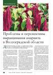 Проблемы и перспективы выращивания амаранта в Волгоградской области