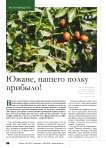 Южане, нашего полку прибыло!