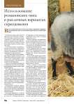Использование романовских овец в различных вариантах скрещивания