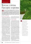 Когда улитка быстрее коровы