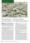 Водяной орех – краснокнижное растение Волго-Ахтубинской поймы