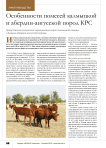 Особенности помесей калмыцкой и абердин-ангусской пород КРС