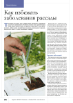 Как избежать заболевания рассады