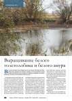 Выращивание белого толстолобика и белого амура