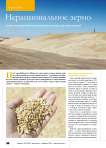 Нерациональное зерно. Спасет ли внутренний рынок пошлина на экспорт зерновых культур?