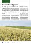 Влияние НаноКремния на продуктивность озимой пшеницы