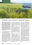 Новый сорт озимого ячменя Ерема