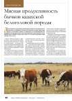 Мясная продуктивность бычков казахской белоголовой породы