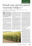 Новый сорт мягкой озимой пшеницы Тайфун-7