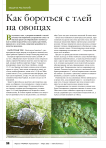 Как бороться с тлей на овощах