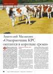 Анатолий Малыхин: «Откормочник КРС окупится в короткие сроки»
