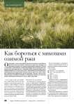 Как бороться с микозами озимой ржи