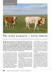 Не хочу владеть – хочу иметь