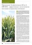 Применение биофунгицидов БСка-3, БФТИМ – эффективная и экономически выгодная альтернатива химизации