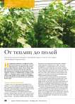 От теплиц до полей