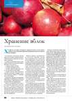 Хранение яблок