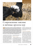 Современные мясные и яичные кроссы кур