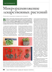 Микроразмножение лекарственных растений