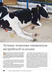 Лучшие помесные симменталы австрийской селекции