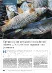 Организация прудового хозяйства: оценка доходности и перспективы развития