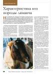 Характеристика коз породы ламанча