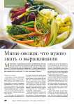 Мини-овощи: что нужно знать о выращивании