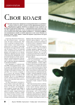 Своя колея