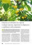 Оценка устойчивости сортов и форм груши, черешни и абрикоса к грибным заболеваниям