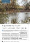 Выращивание белого толстолобика и белого амура