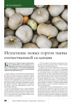 Испытание новых сортов тыквы отечественной селекции