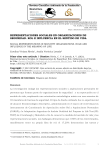 Representaciones Sociales en Organizaciones de Seguridad. Rol e Influencia en el Sentido de Vida