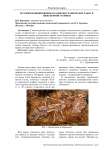 История возникновения и развития графических работ и инженерной графики