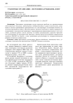 Транзитные организации - посредники "отмывания" денег