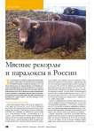 Мясные рекорды и парадоксы в России