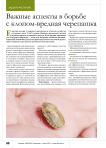 Важные аспекты в борьбе с клопом-вредная черепашка
