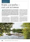 Корм для рыбы – еда для человека