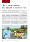 Овощи и мясо – это доход в любой год