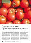 Важные аспекты при возделывании томата