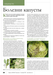 Болезни капусты